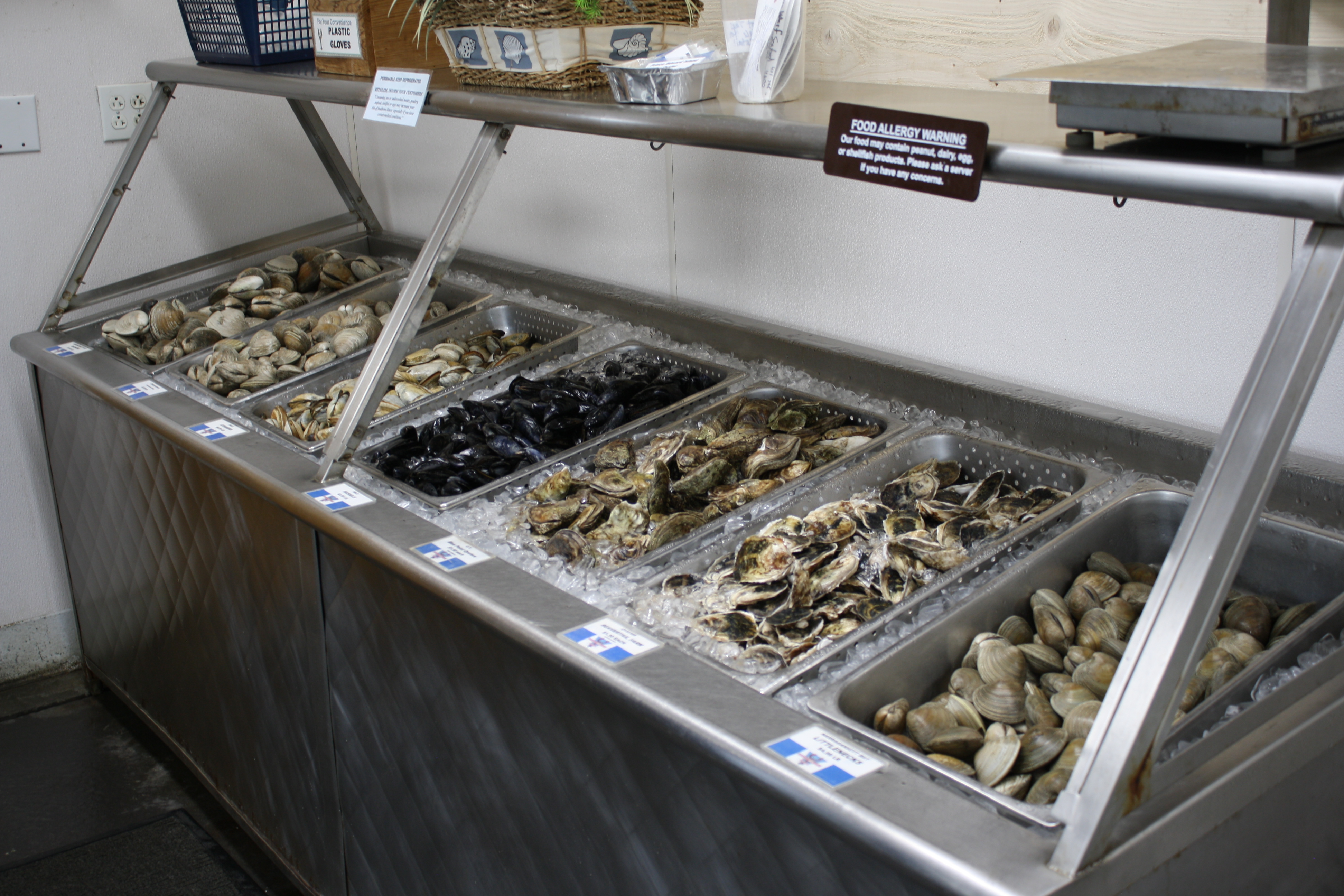 Color Photo of Shellfish on Ice in Cooler in Market
